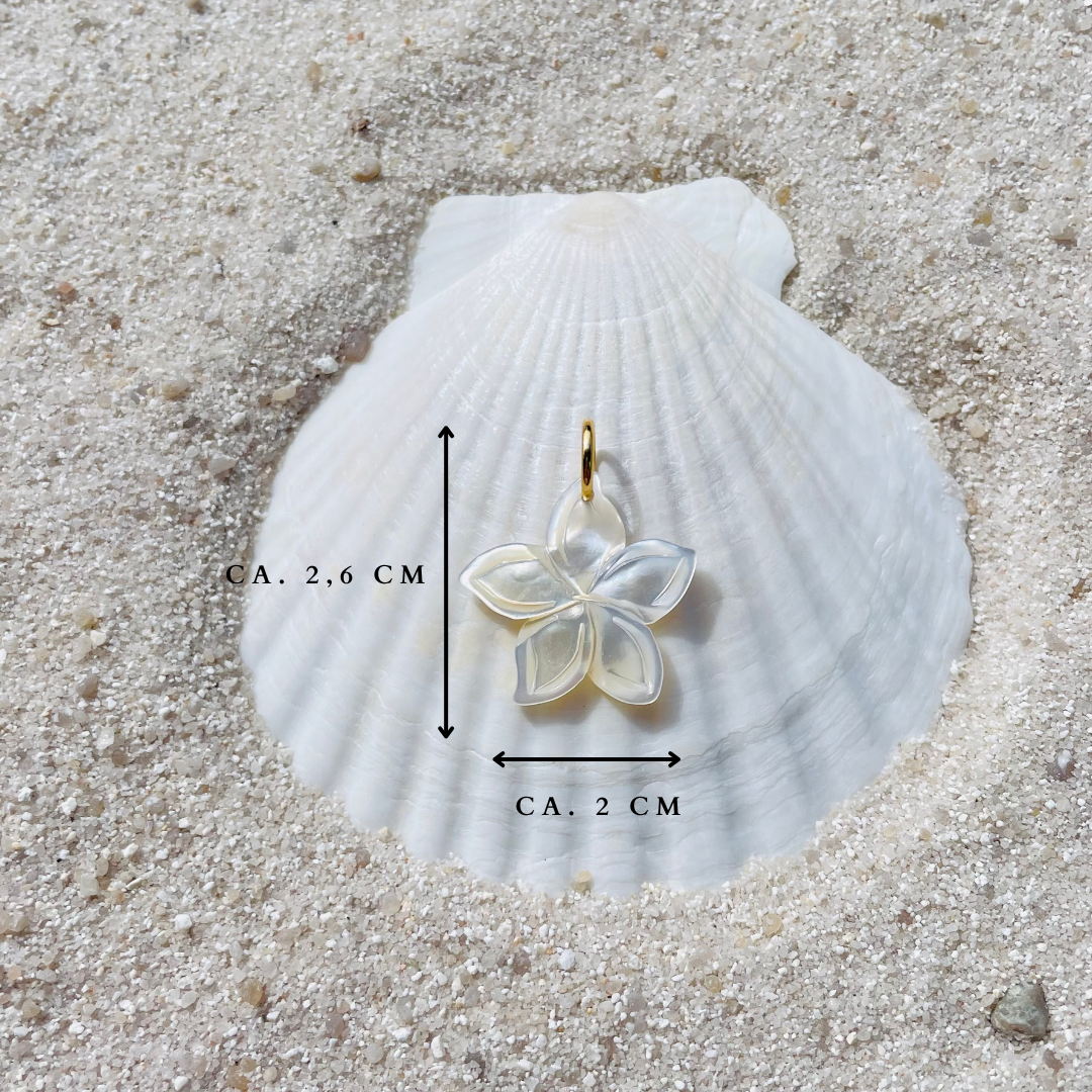 Ein zart schimmernder Blumenanhänger aus weißer Muschelperle liegt auf einer weißen Muschelschale, eingebettet in feinem Sand. Die Blütenform ist glatt geschliffen und reflektiert das Licht perlmuttartig. Die Maßangaben des Charms wurden per Textfeld hinzugefügt: Höhe ca. 2,6 cm und Breite ca. 2 cm